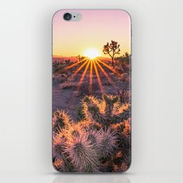 Joshua Tree Cholla Cactus Sunset iPhone Skin