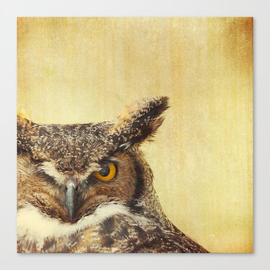 Hoo Hoo Canvas Print