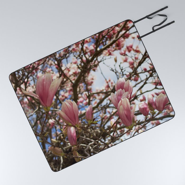 Spring Magnolia Blossoms in Salem Picnic Blanket