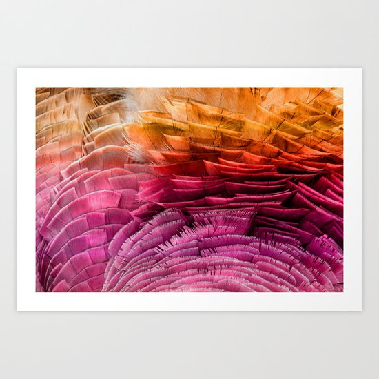 RUFFLED Art Print