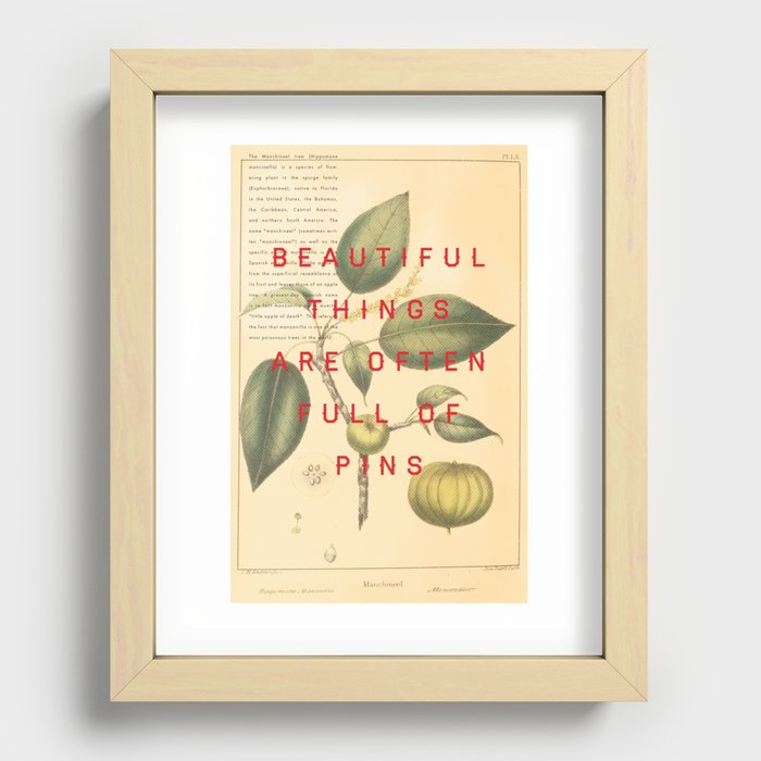 Beautiful Things Are Often Full Of Pins Recessed Framed Print