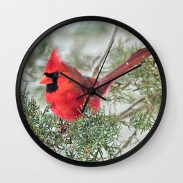Cocky Cardinal Wall Clock
