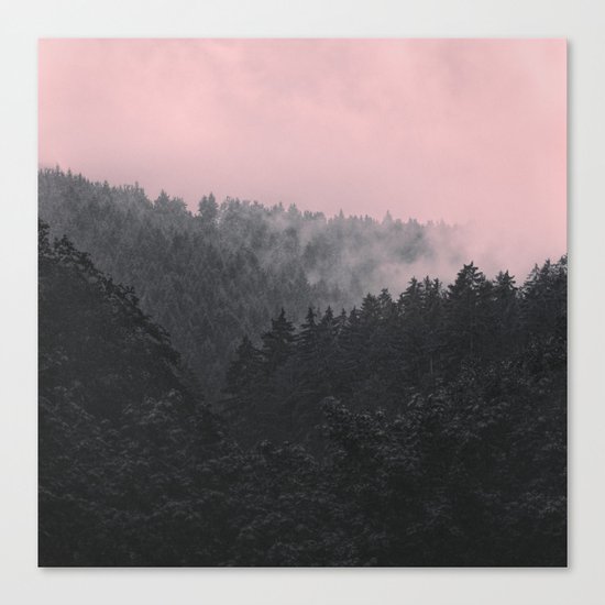 Slowly Sinking In Canvas Print