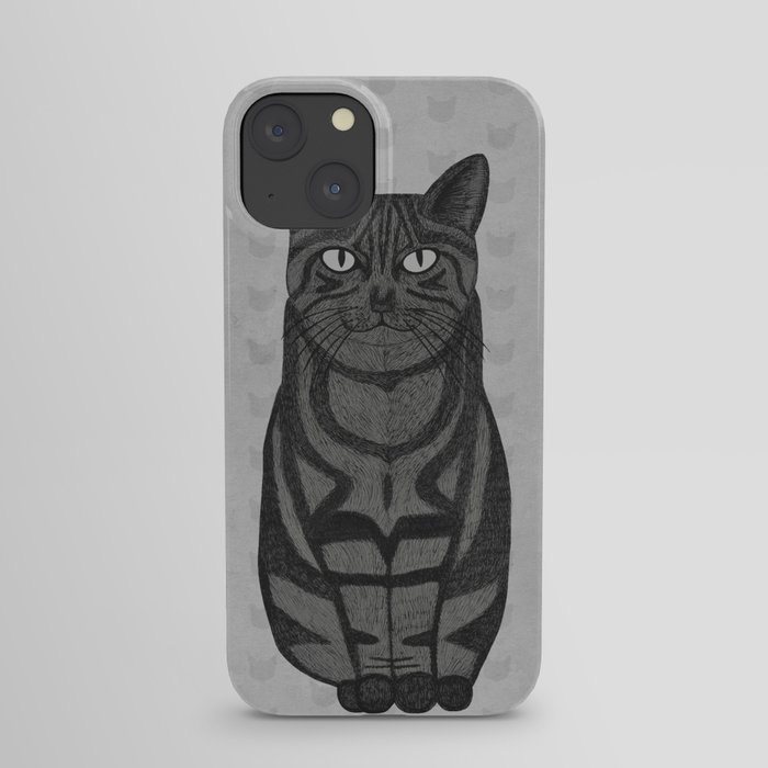 Sly Cat iPhone Case