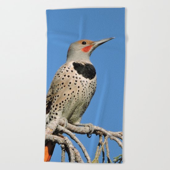 Northern Flicker Beach Towel
