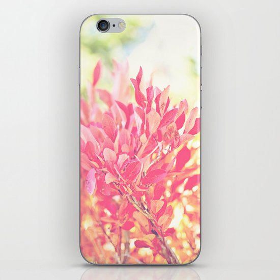 Burst of Red iPhone Skin