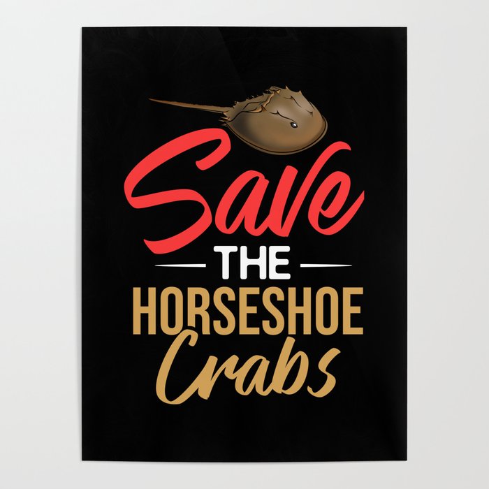 Horseshoe Crab Xiphosura Blood Eggs Fossil Poster
