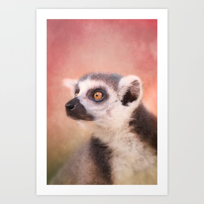 Pictorial Lemur Art Print