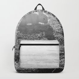 Bunny // Black and White Cute Nursery Photograph Adorable Baby Bunnies in the Field Backpack | Boys Girls Girl Boy, Decoration Scenery, Circus Theme Animal, Fluffy Photo Sweet, Silly Cute Fun Funny, Pictures Picture In, Safari Rabbit Green, Adorable Love Earth, Rustic Idea Ideas, Wildlife Wild Zoo 