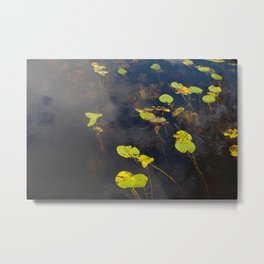 Flow Metal Print | Abstract, Nature, Aqua, Float, Water, River, Clear, Peace, Photo, Green 