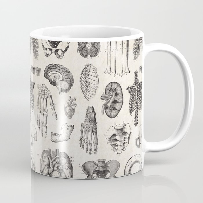 Human Anatomy Coffee Mug