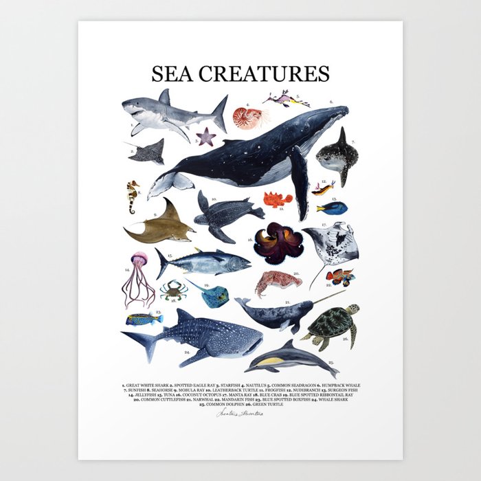 SEA CREATURES poster with names Art Print