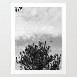 Tree Black and White Art Print