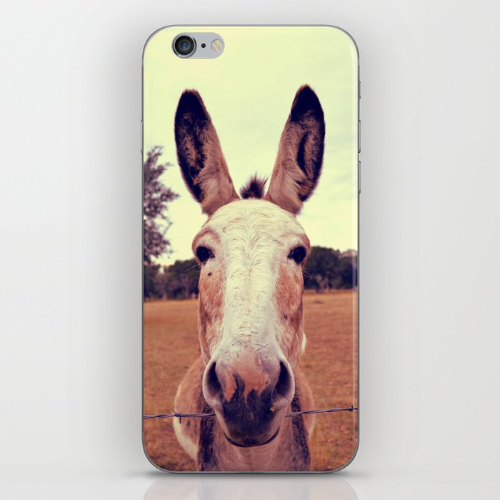 a curious donkey. iPhone Skin