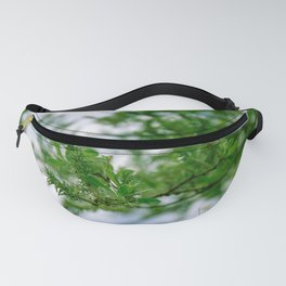spring is in the air - nature photography - fresh greens and blues, signs of new life for upcoming spring Fanny Pack