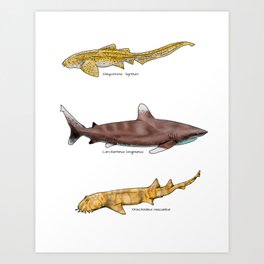 Tropical Sharks Art Print