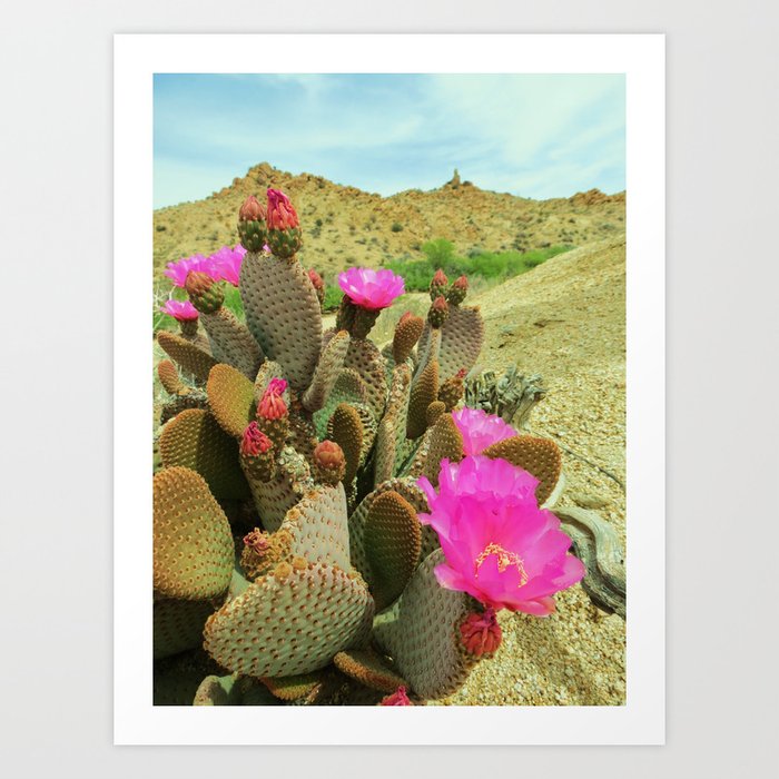 cactus flower painting