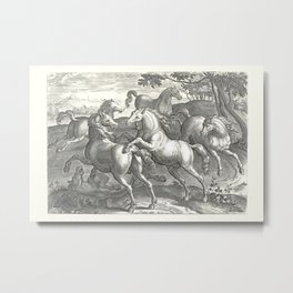 Fighting Stallions - Wild Horses antique vintage illustration  Metal Print