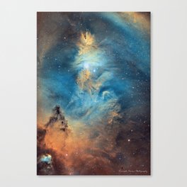Christmas tree nebula Canvas Print