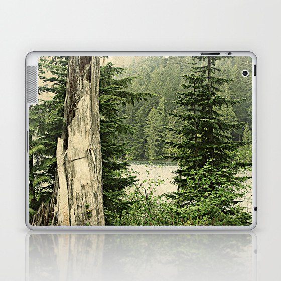 Northwest Forest Laptop & iPad Skin