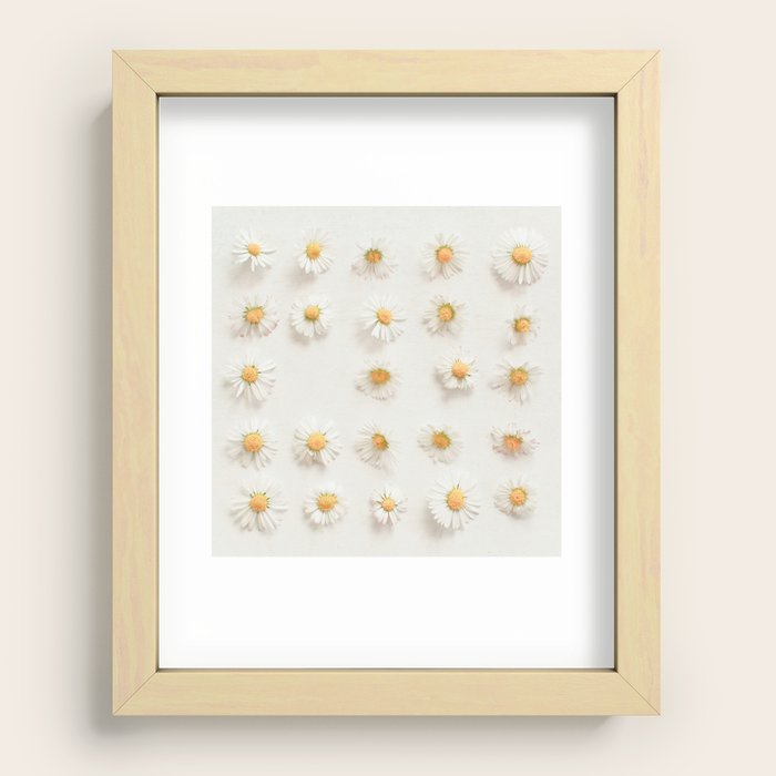 Daisy Collection Recessed Framed Print by Cassia Beck | Society6