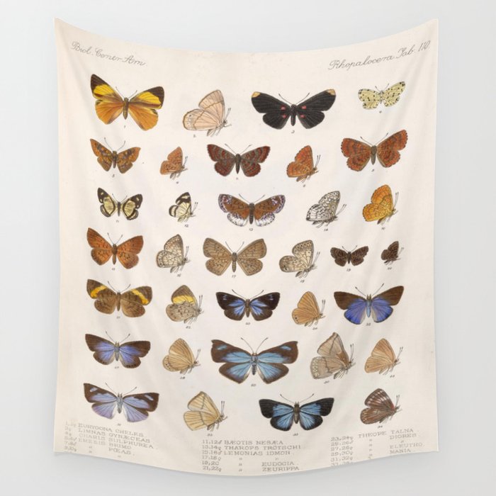 Vintage Scientific Insect Butterfly Moth Biological Hand Drawn Species Art Illustration Wall Tapestry