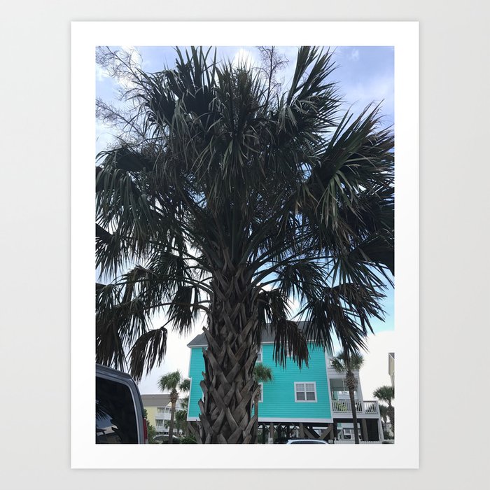 Palm Trees In Myrtle Beach Art Print By Gabriellebowers Society6 Palm Trees In Myrtle Beach Art Print By