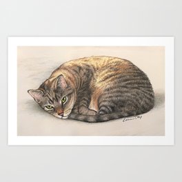 Tiger Cat Pencil Drawing Art Print | Colored Pencil, Tigercat, Kitten, Drawing 