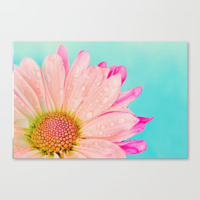 Retro pastel summer daisy Canvas Print