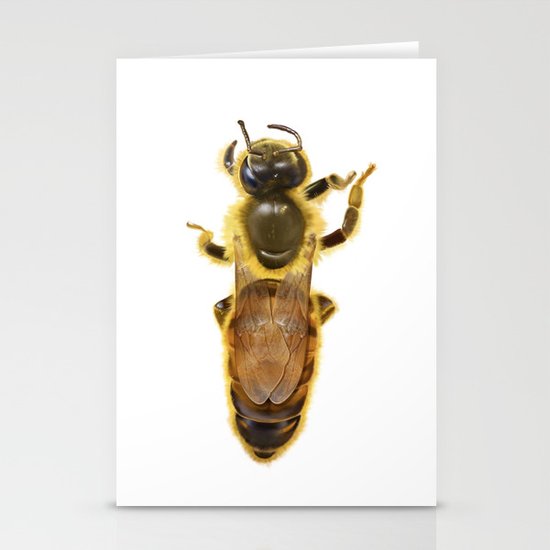 bee Stationery Cards