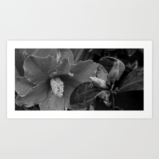 Black and White Art Print