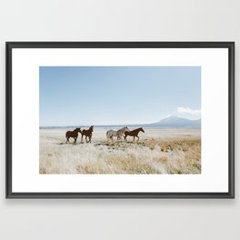 Colorado Wilds Framed Art Print