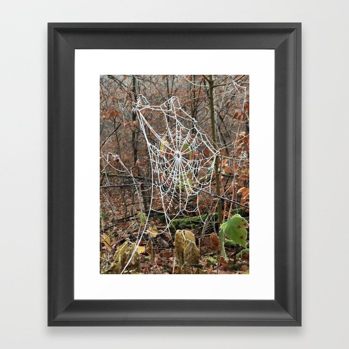 Frozen web Framed Art Print