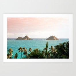 Nā Mokulua Art Print