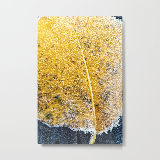 yellow and frosted Metal Print