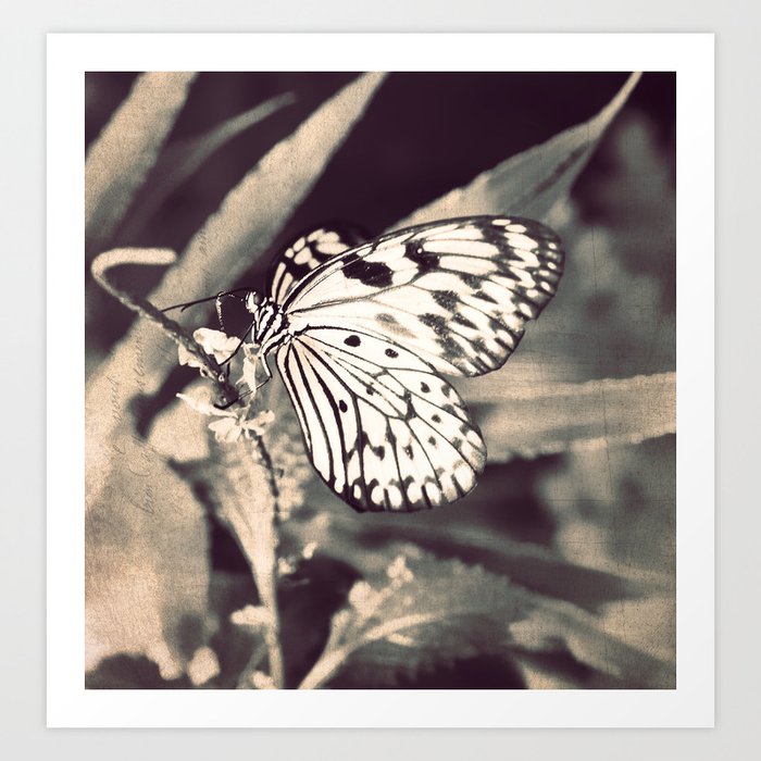 If Nothing Ever Changed, There'd Be No Butterflies Art Print