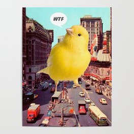 Canary in the City Poster