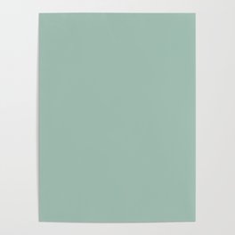 Lichen solid color. Celadon green moody modern abstract plain pattern Poster