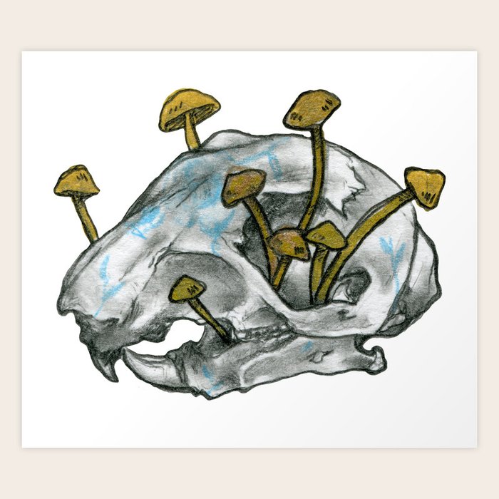 Get Wallpaper Squirrel Skull Art Print By Kipperblossom Society6 For Android Free