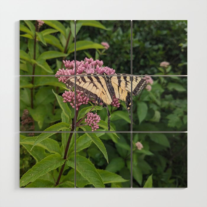 Eastern Tiger Swallowtail Wood Wall Art