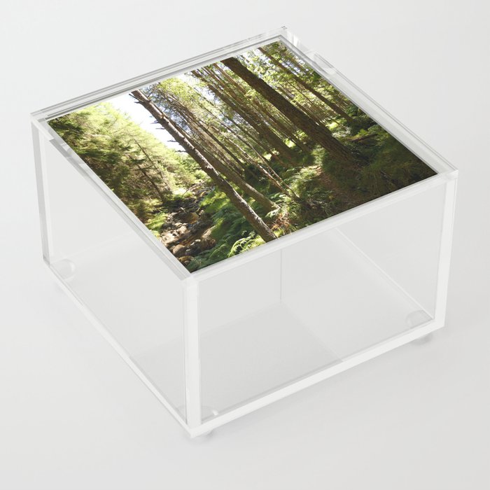 Scottish Highlands Light and Shadow Nature Path Acrylic Box