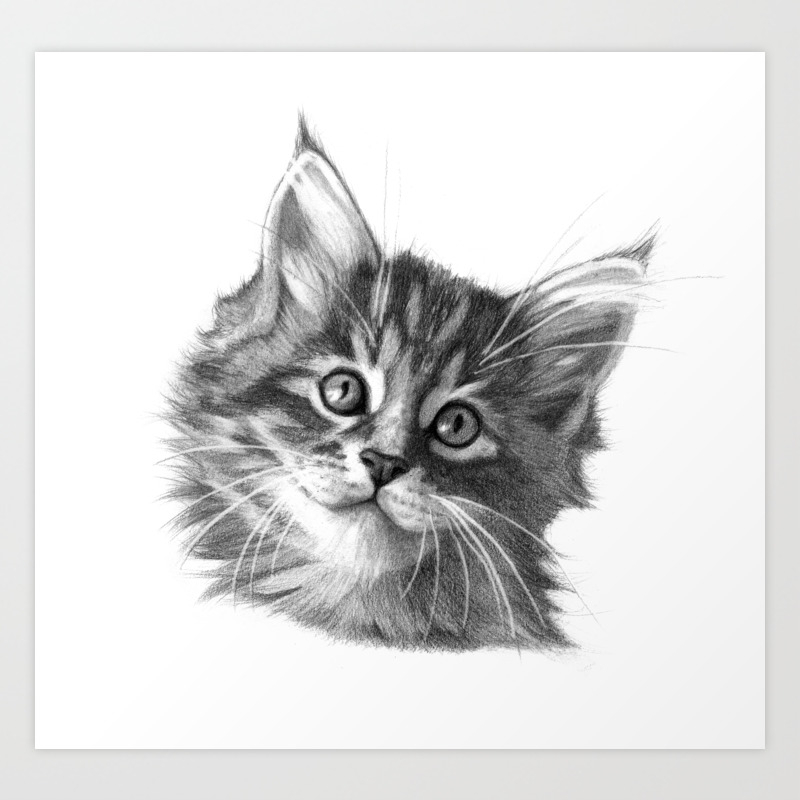Maine Coon Kitten G114 Art Print By S Schukina Society6