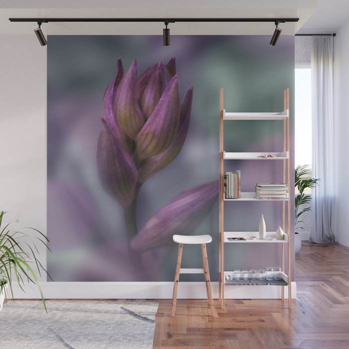 Hosta Flower Bud Purple And Green Wall Mural