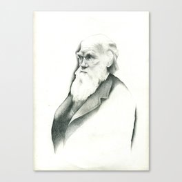 DARWIN Canvas Print
