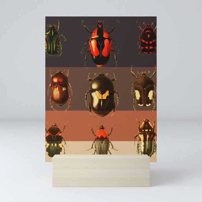 Bug Beetle Insects Species Coleoptera Beetles Animals Mini Art Print