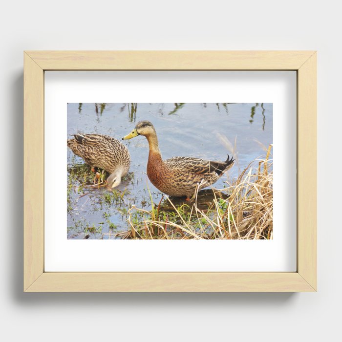 Two Little Ducks Recessed Framed Print