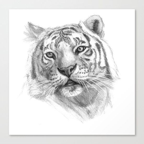 Sentimental Tiger SK118 Canvas Print