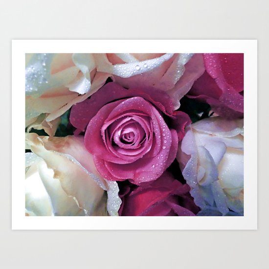 Roses Art Print
