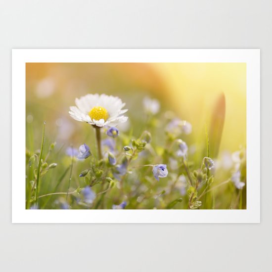 Daisy and court- Daisies Flowers Flower Meadow Spring #Society6 Art Print