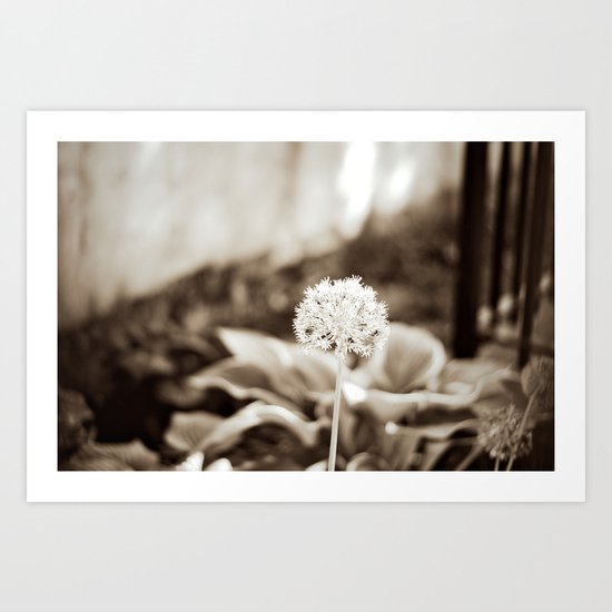Little Friend Art Print